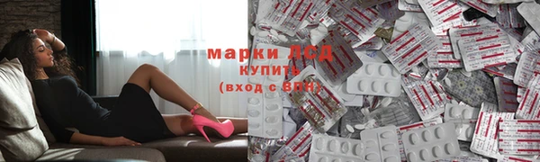 гашик Арсеньев