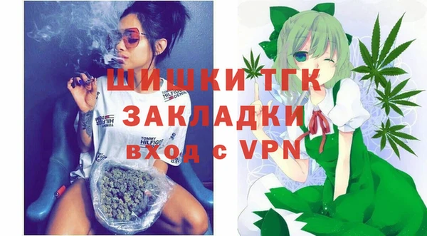 гашик Арсеньев