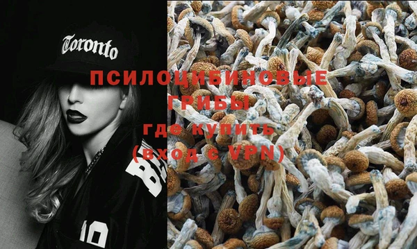 прущий лед Аркадак