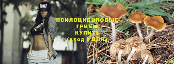 прущий лед Аркадак