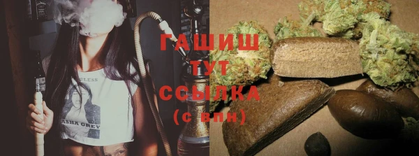 гашик Арсеньев