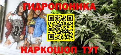 молекула духа Обнинск