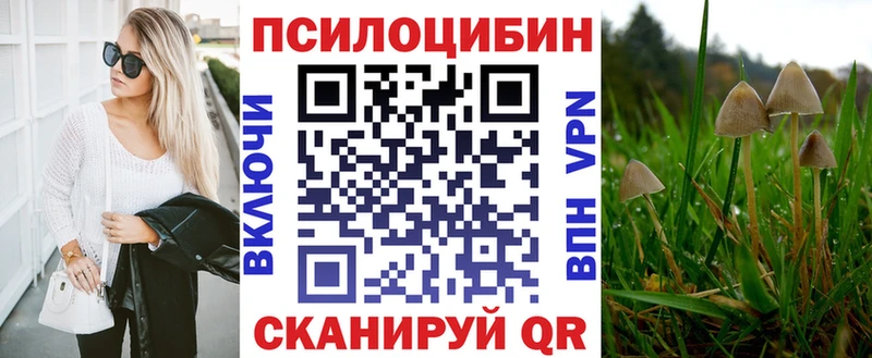 Галлюциногенные грибы Cubensis  Петропавловск-Камчатский 